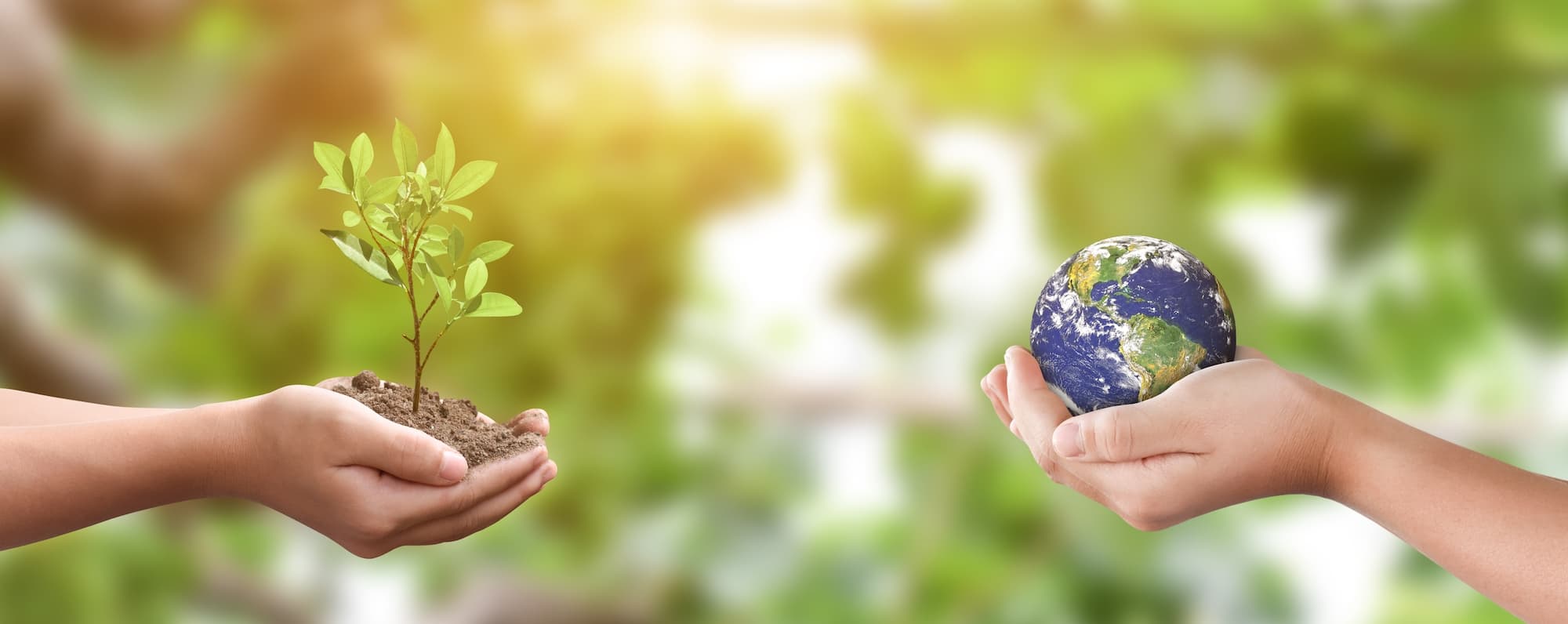 Developpement durable RSE